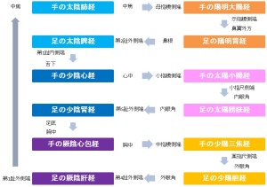 経絡の流れ
